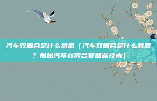 汽车双离合是什么意思(汽车双离合是什么意思?揭秘汽车双离合变速器技术)