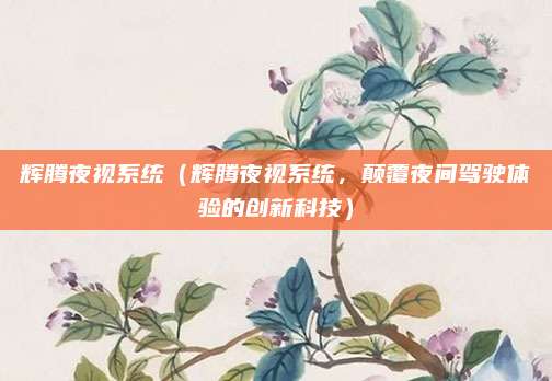 辉腾夜视系统(辉腾夜视系统,颠覆夜间驾驶体验的创新科技)