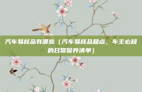 汽车易耗品有哪些(汽车易耗品盘点,车主必知的日常保养清单)