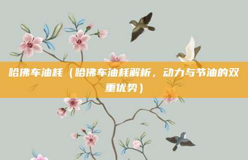 哈佛车油耗(哈佛车油耗解析,动力与节油的双重优势)