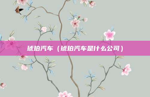 琥珀汽车(琥珀汽车是什么公司)