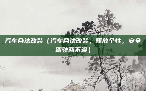 汽车合法改装(汽车合法改装,释放个性,安全驾驶两不误)
