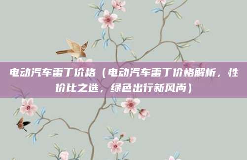 电动汽车雷丁价格(电动汽车雷丁价格解析,性价比之选,绿色出行新风尚)