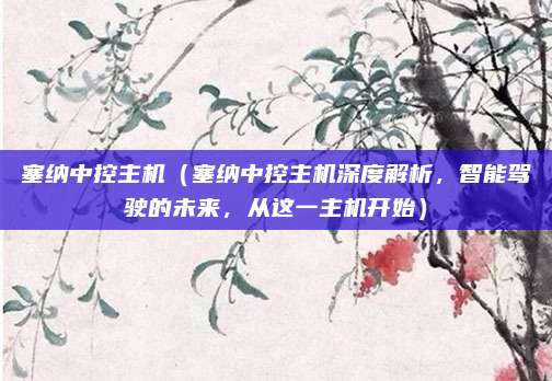 塞纳中控主机(塞纳中控主机深度解析,智能驾驶的未来,从这一主机开始)