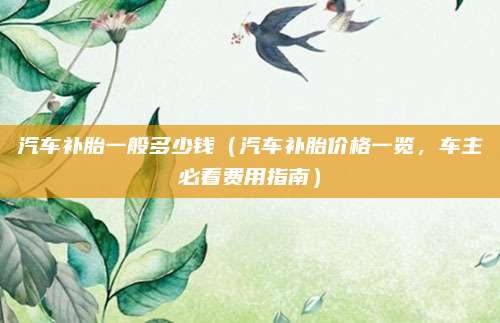 汽车补胎一般多少钱(汽车补胎价格一览,车主必看费用指南)