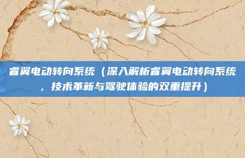 睿翼电动转向系统(深入解析睿翼电动转向系统,技术革新与驾驶体验的双重提升)