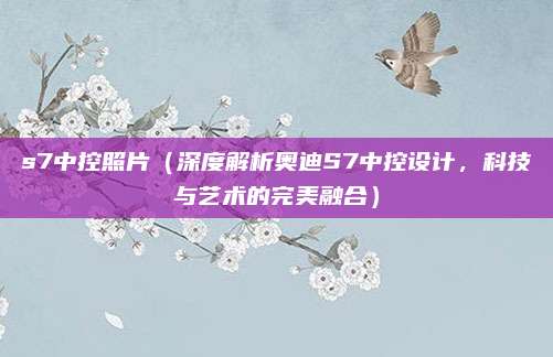 s7中控照片(深度解析奥迪S7中控设计,科技与艺术的完美融合)