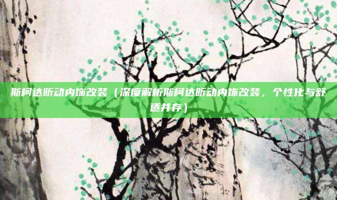 斯柯达昕动内饰改装（深度解析斯柯达昕动内饰改装，个性化与舒适并存）