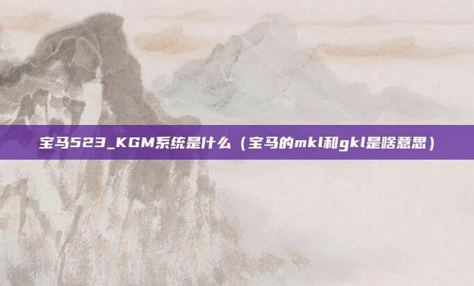 宝马523_KGM系统是什么(宝马的mkl和gkl是啥意思)