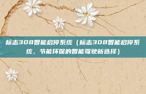 标志308智能启停系统(标志308智能启停系统,节能环保的智能驾驶新选择)