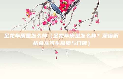 金龙车质量怎么样(金龙车质量怎么样?深度解析金龙汽车品质与口碑)