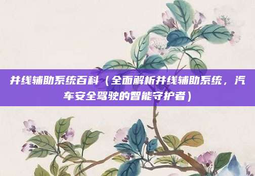 并线辅助系统百科(全面解析并线辅助系统,汽车安全驾驶的智能守护者)