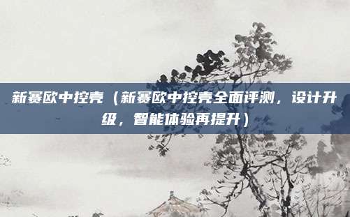 新赛欧中控壳（新赛欧中控壳全面评测，设计升级，智能体验再提升）