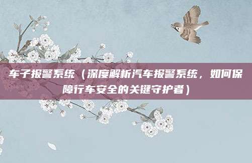 车子报警系统(深度解析汽车报警系统,如何保障行车安全的关键守护者)