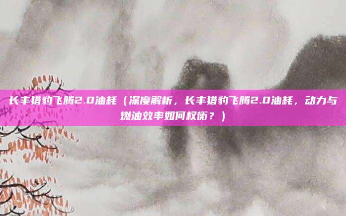长丰猎豹飞腾2.0油耗(深度解析,长丰猎豹飞腾2.0油耗,动力与燃油效率如何权衡?)