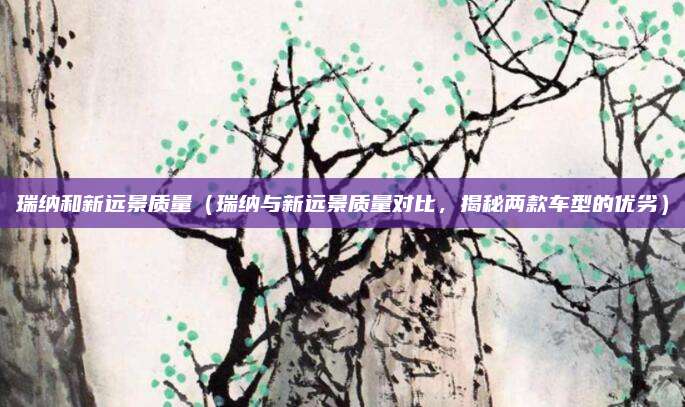 瑞纳和新远景质量（瑞纳与新远景质量对比，揭秘两款车型的优劣）