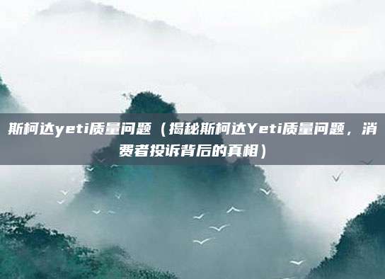 斯柯达yeti质量问题（揭秘斯柯达Yeti质量问题，消费者投诉背后的真相）