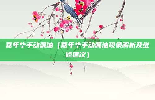 嘉年华手动漏油(嘉年华手动漏油现象解析及维修建议)