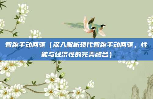 智跑手动两驱(深入解析现代智跑手动两驱,性能与经济性的完美融合)
