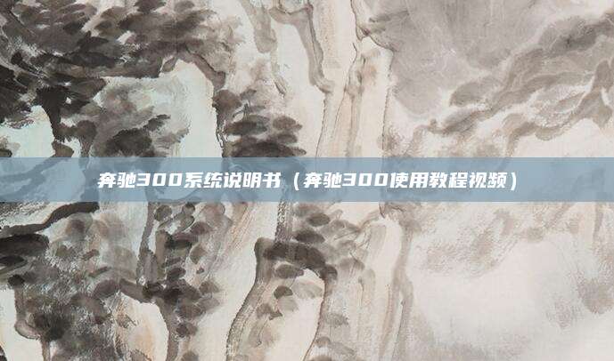 奔驰300系统说明书(奔驰300使用教程视频)