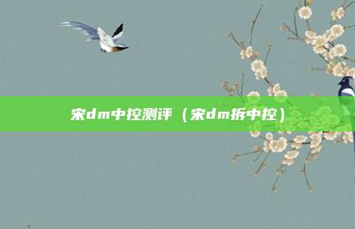 宋dm中控测评(宋dm拆中控)