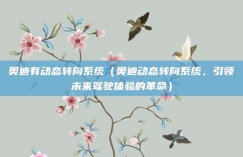 奥迪有动态转向系统(奥迪动态转向系统,引领未来驾驶体验的革命)