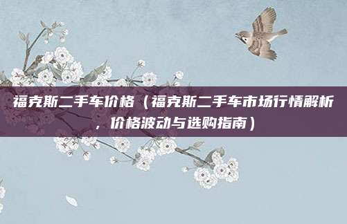 福克斯二手车价格(福克斯二手车市场行情解析,价格波动与选购指南)