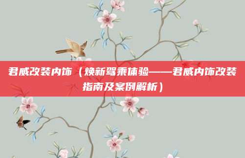君威改装内饰(焕新驾乘体验——君威内饰改装指南及案例解析)