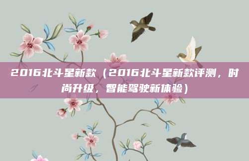 2016北斗星新款(2016北斗星新款评测,时尚升级,智能驾驶新体验)