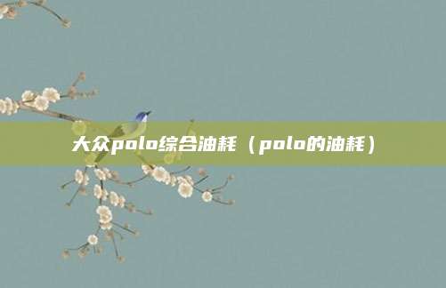 大众polo综合油耗(polo的油耗)