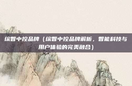 缤智中控品牌(缤智中控品牌解析,智能科技与用户体验的完美融合)