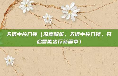 天语中控门锁(深度解析,天语中控门锁,开启智能出行新篇章)