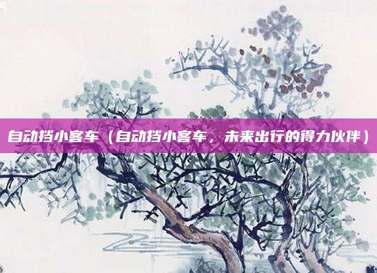 自动挡小客车(自动挡小客车,未来出行的得力伙伴)