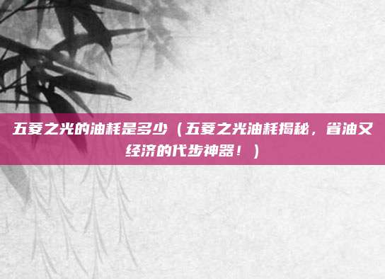五菱之光的油耗是多少(五菱之光油耗揭秘,省油又经济的代步神器!)