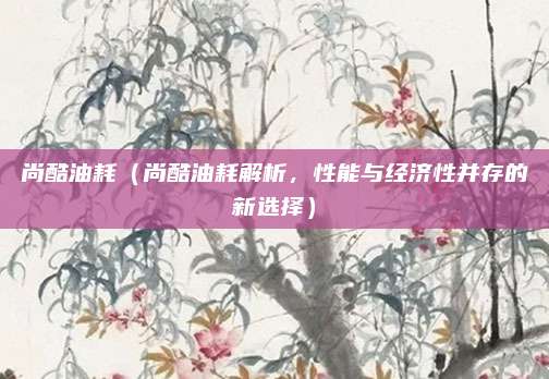 尚酷油耗(尚酷油耗解析,性能与经济性并存的新选择)