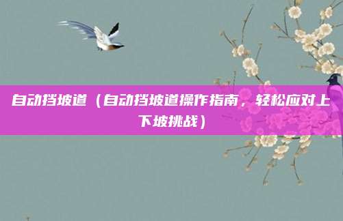 自动挡坡道(自动挡坡道操作指南,轻松应对上下坡挑战)