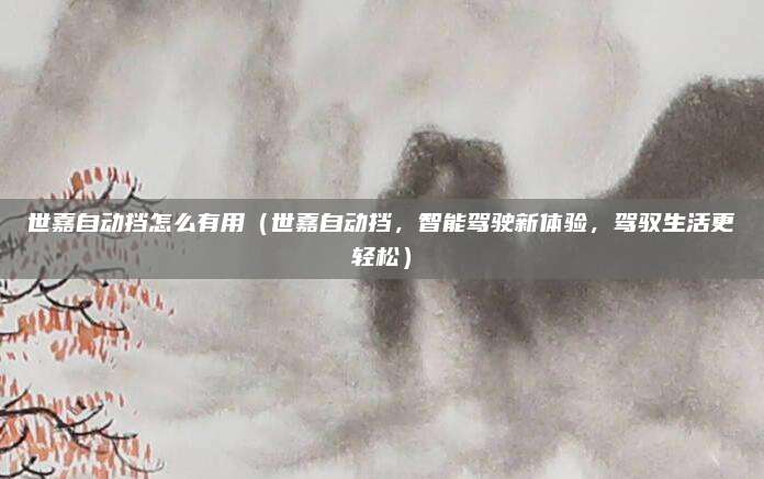 世嘉自动挡怎么有用(世嘉自动挡,智能驾驶新体验,驾驭生活更轻松)