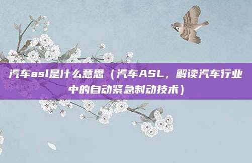 汽车asl是什么意思(汽车ASL,解读汽车行业中的自动紧急制动技术)