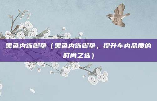 黑色内饰脚垫(黑色内饰脚垫,提升车内品质的时尚之选)