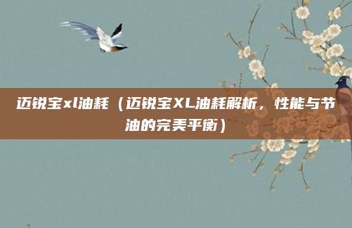 迈锐宝xl油耗（迈锐宝XL油耗解析，性能与节油的完美平衡）