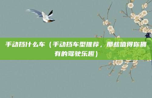 手动挡什么车(手动挡车型推荐,那些值得你拥有的驾驶乐趣)