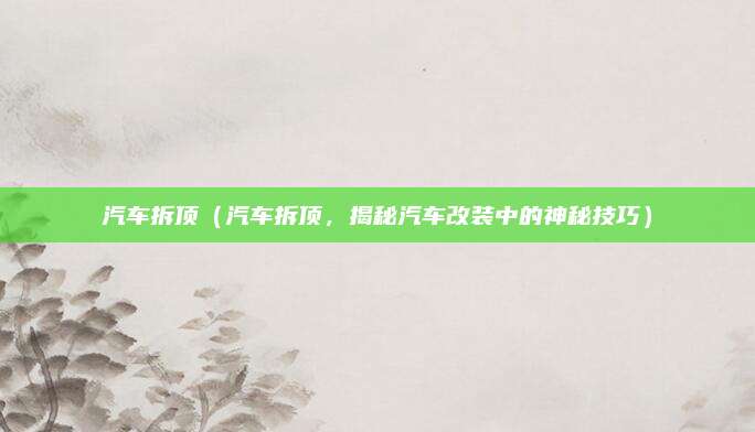 汽车拆顶(汽车拆顶,揭秘汽车改装中的神秘技巧)