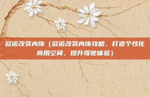 欧诺改装内饰(欧诺改装内饰攻略,打造个性化商用空间,提升驾驶体验)