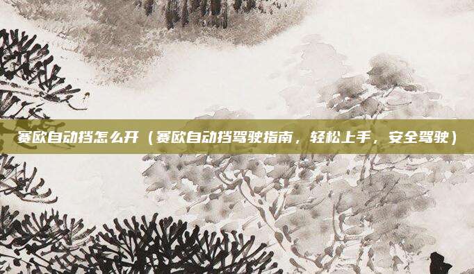 赛欧自动挡怎么开(赛欧自动挡驾驶指南,轻松上手,安全驾驶)