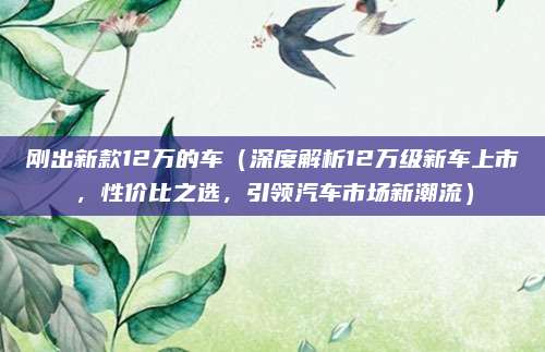 刚出新款12万的车(深度解析12万级新车上市,性价比之选,引领汽车市场新潮流)