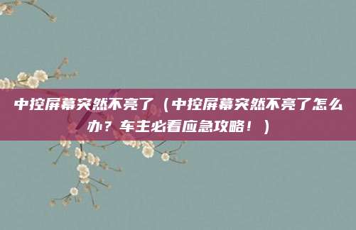 中控屏幕突然不亮了(中控屏幕突然不亮了怎么办?车主必看应急攻略!)
