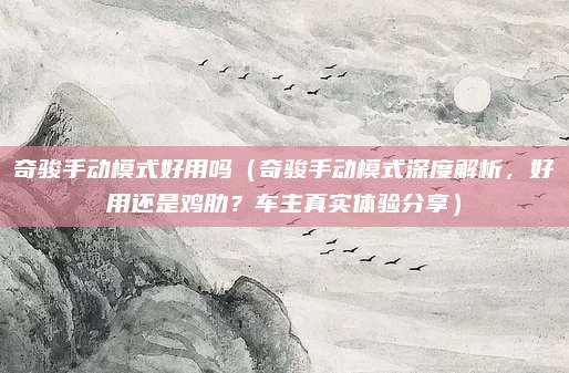 奇骏手动模式好用吗(奇骏手动模式深度解析,好用还是鸡肋?车主真实体验分享)