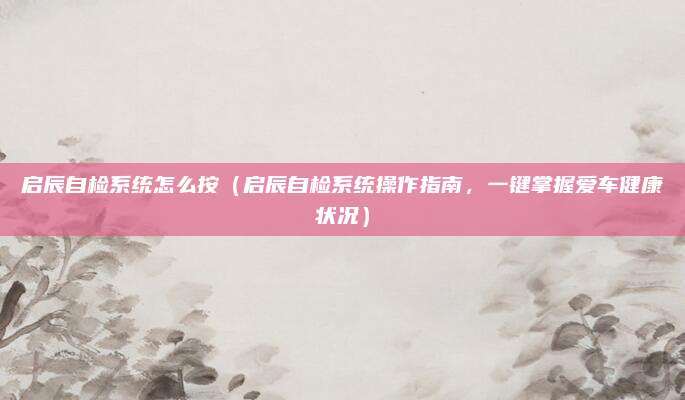 启辰自检系统怎么按(启辰自检系统操作指南,一键掌握爱车健康状况)
