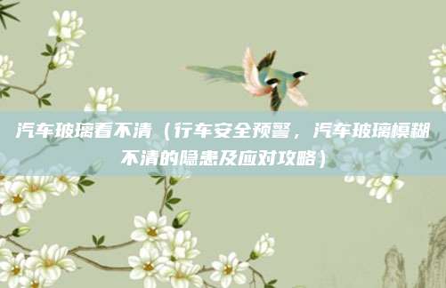 汽车玻璃看不清(行车安全预警,汽车玻璃模糊不清的隐患及应对攻略)