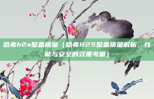 哈弗h2s整备质量(哈弗H2S整备质量解析,性能与安全的双重考量)